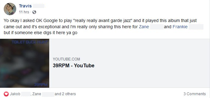 Listener Comment on 39RPM by Toilet Duck Hunt